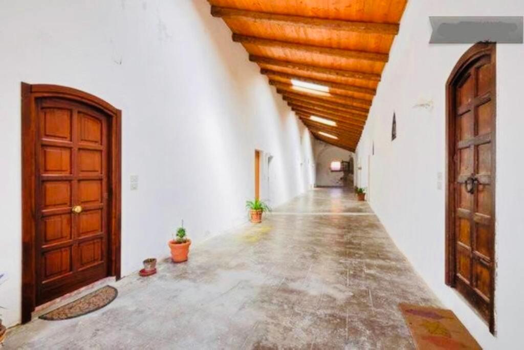 Wonderful Apartment In Old Alghero Exteriör bild